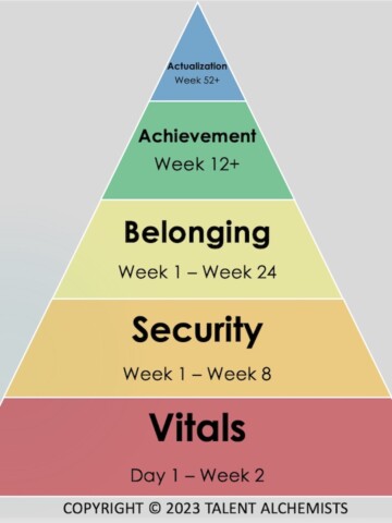 rainbow colored team actualization hierarchy